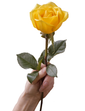 Woman to Woman Campaign